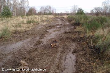 ehemailge Laichgebiete werden zurückgewonnen
