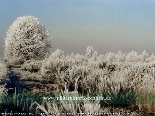 Gohrisch Heide im Wintergewand