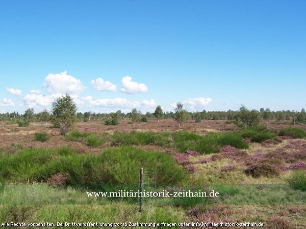 Gohrisch Heide im Frühling