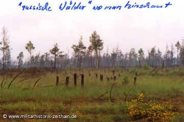 Renaturierung nach einem Waldbrand auf dem TÜP