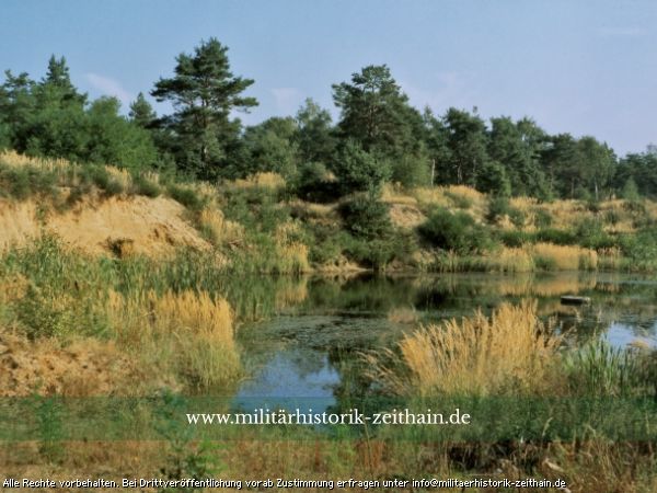 Naturbiotope entstehen wie hier Habitate der Kreuzkröte